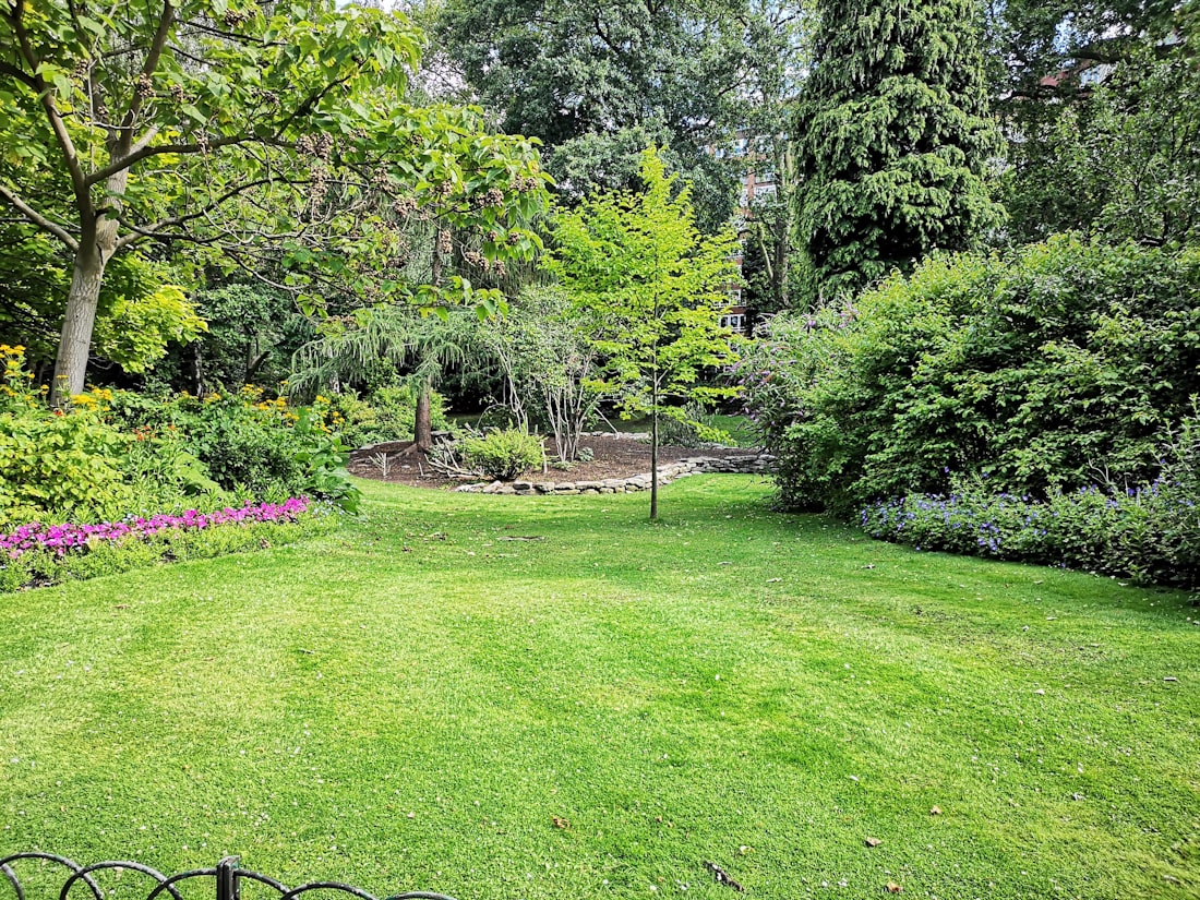A lush, healthy, well-maintained green lawn and garden